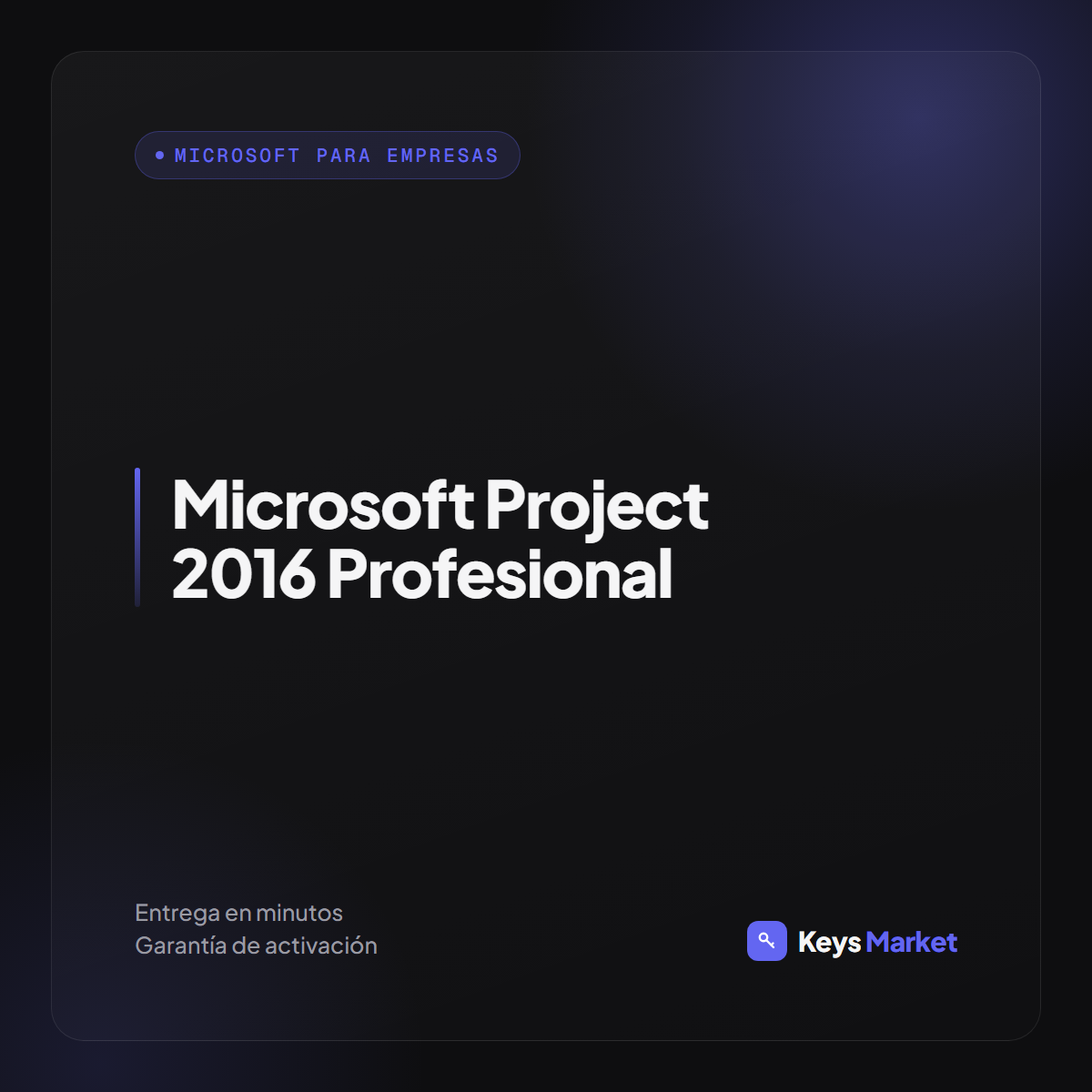 Microsoft Project 2016 Profesional