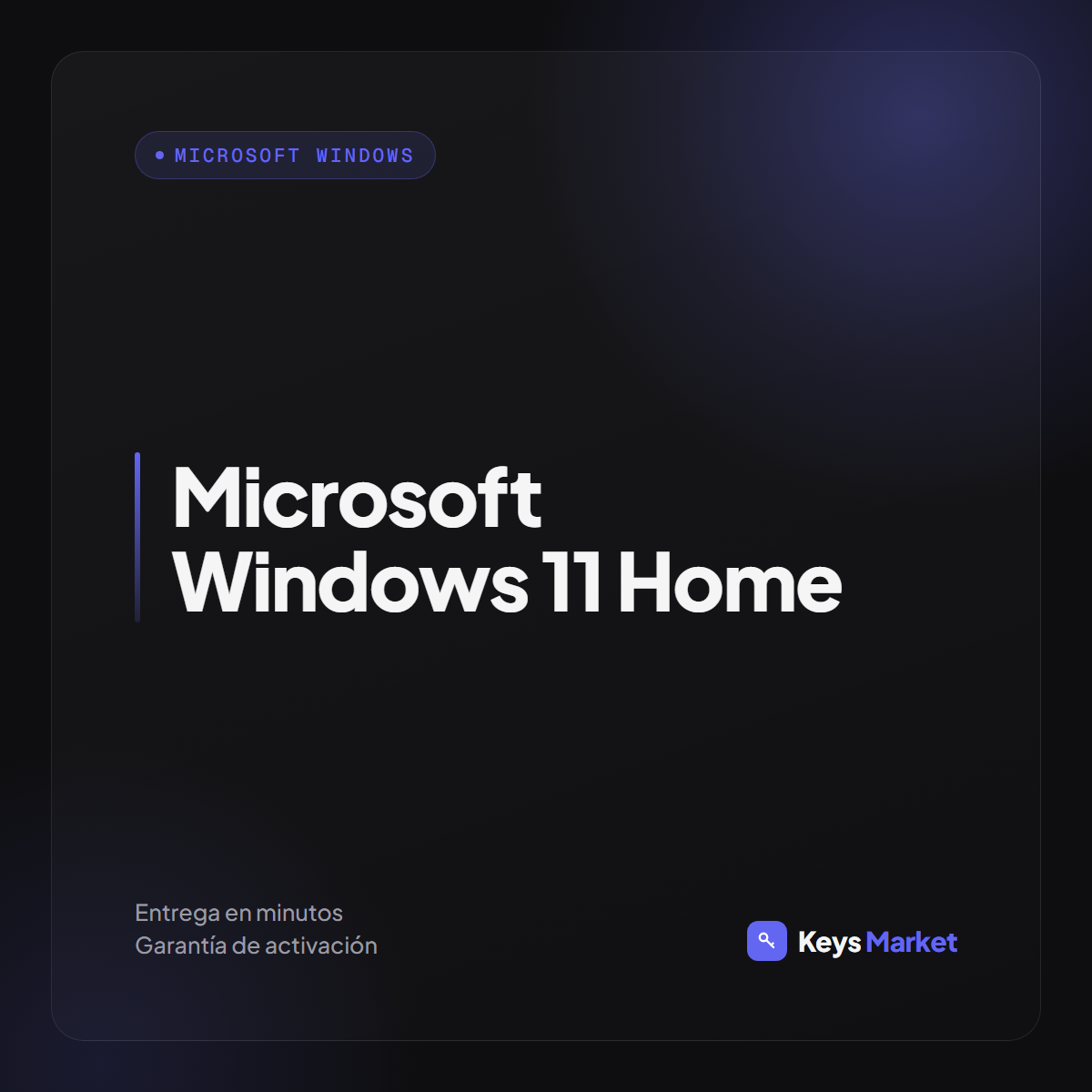 Microsoft Windows 11 Home